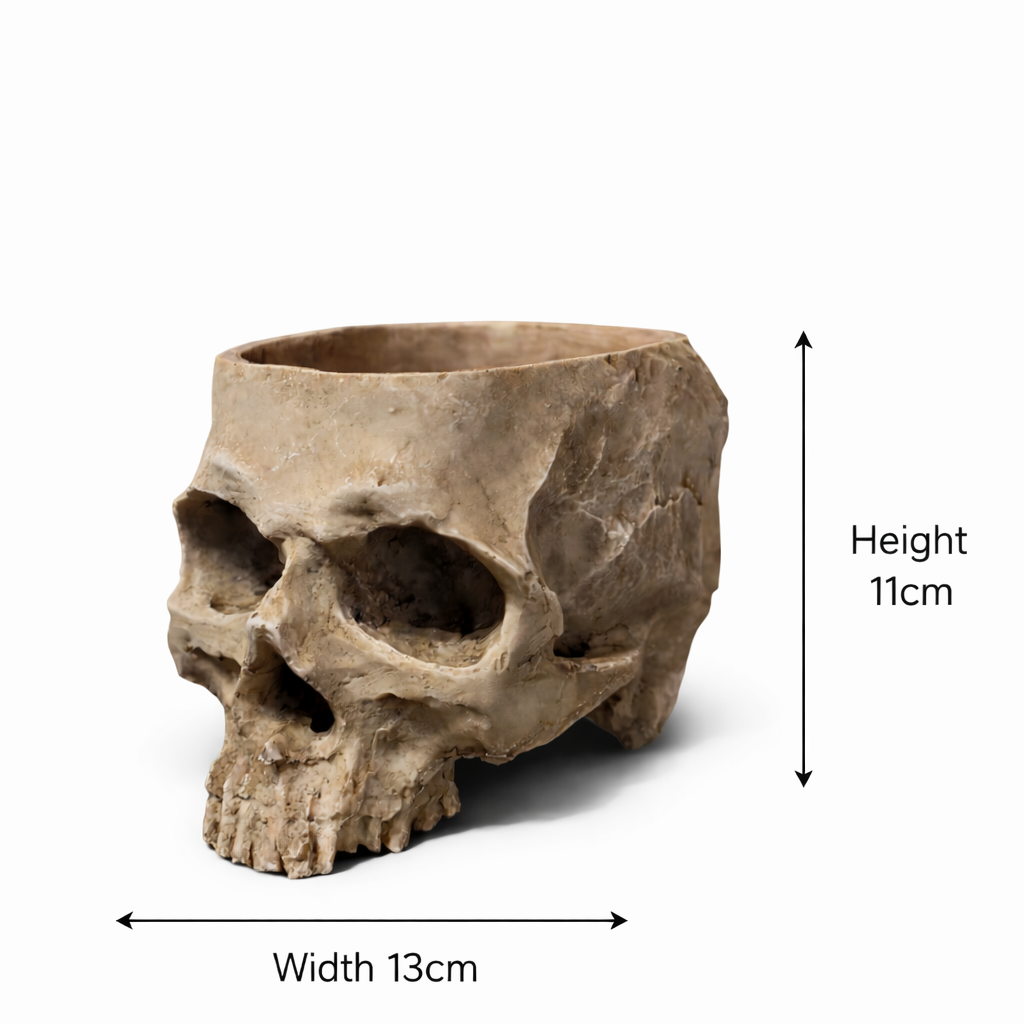 SKULL CUP